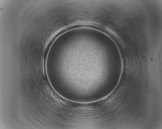 X0000057081272200509161555