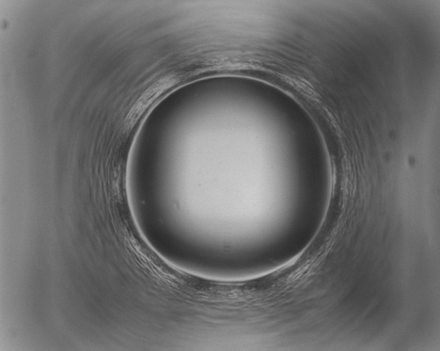 X0000057081273200509161555