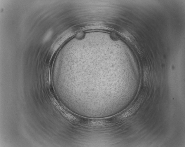 X0000057081274200509161555