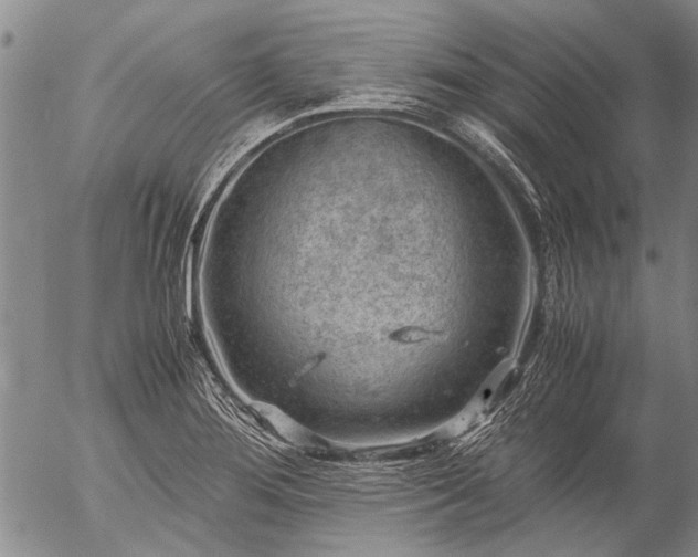 X0000057081276200509161555