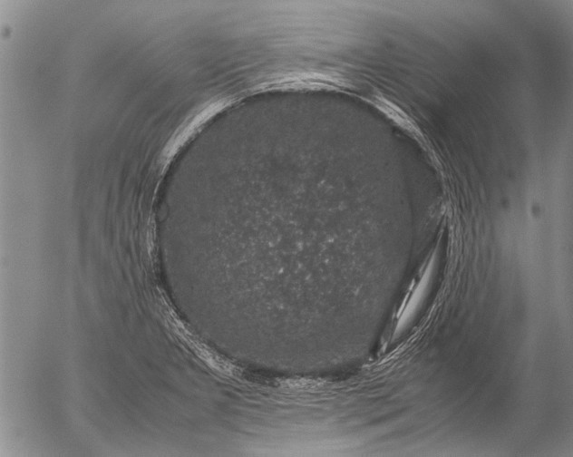 X0000057081277200509161555