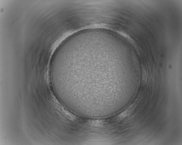 X0000057081278200509161555