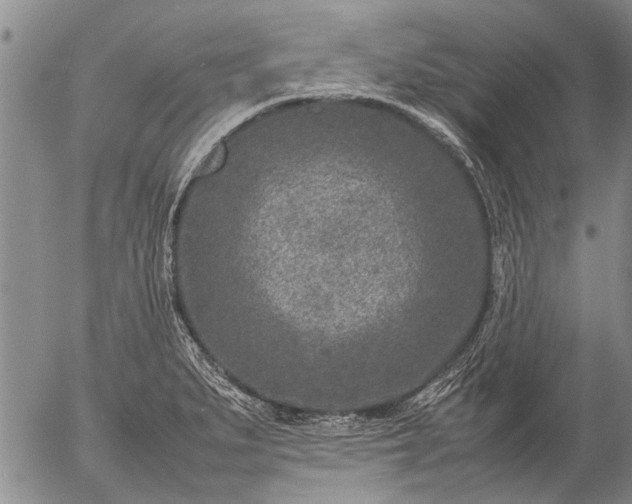 X0000057081279200509161555