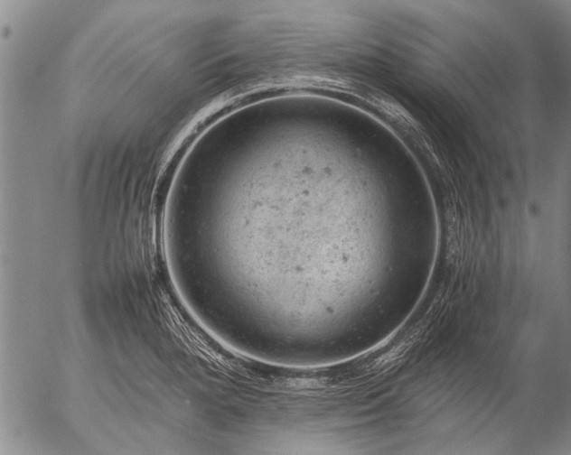 X0000057081280200509161555