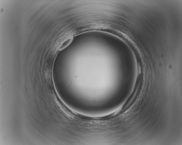 X0000057081281200509161555