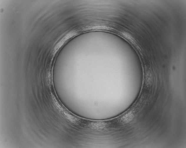 X0000057081282200509161555