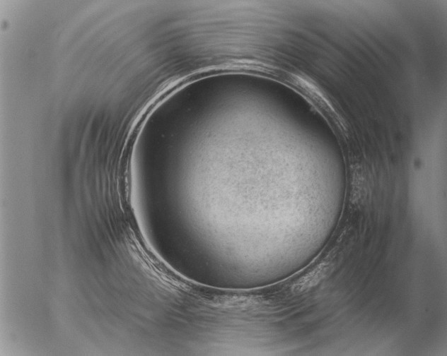 X0000057081284200509161555