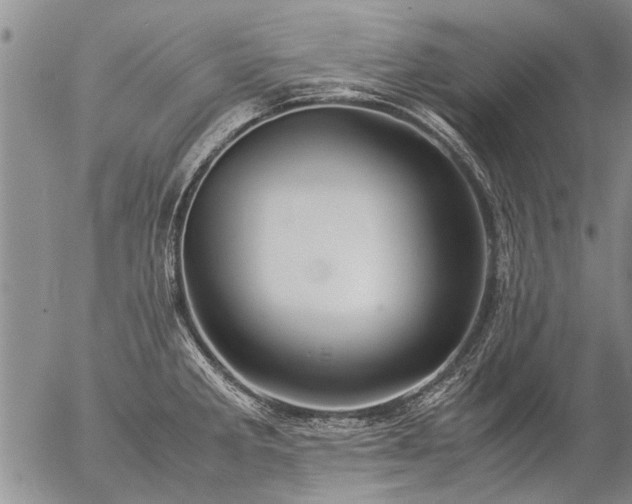 X0000057081285200509161555