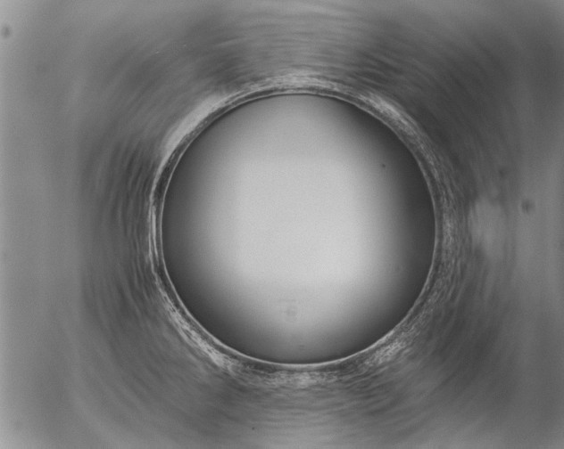 X0000057081286200509161555