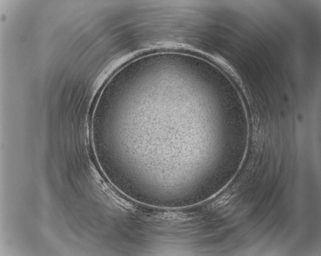 X0000057081287200509161555