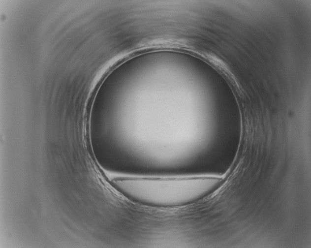 X0000057081288200509161555