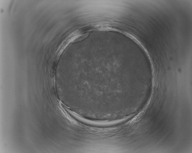 X0000057081289200509161554