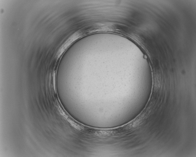 X0000057081290200509161554