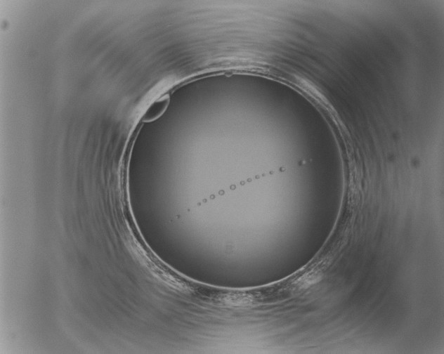 X0000057081291200509161554