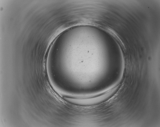 X0000057081292200509161554