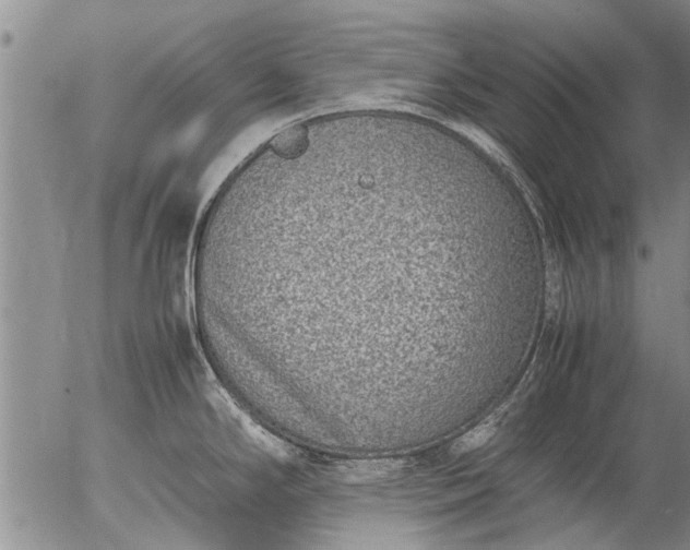 X0000057081294200509161554