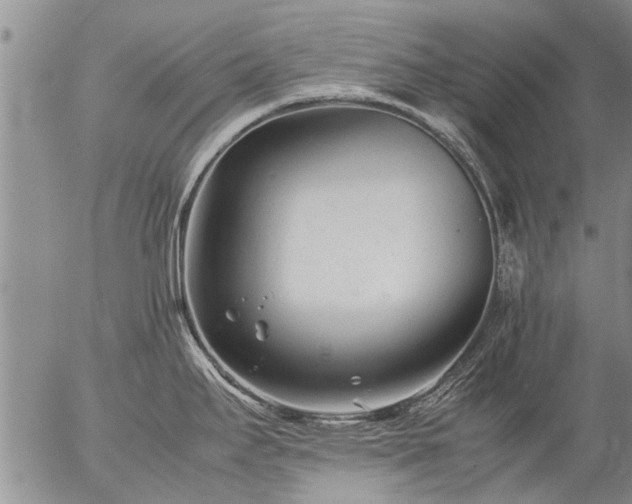 X0000057081295200509161554