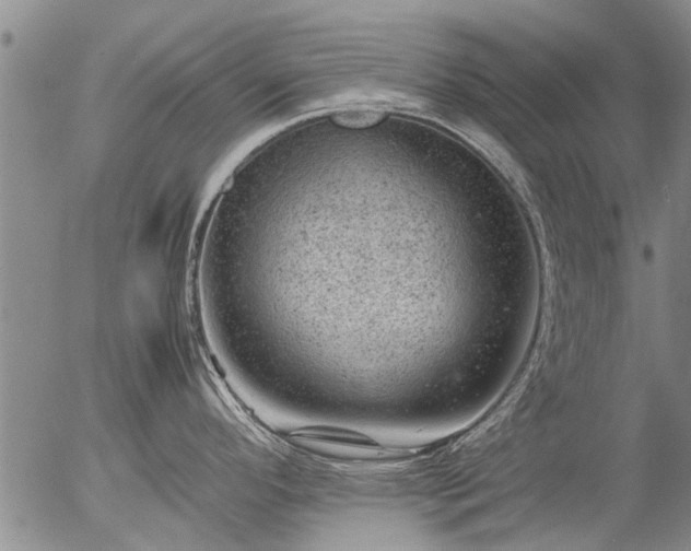 X0000057081296200509161554