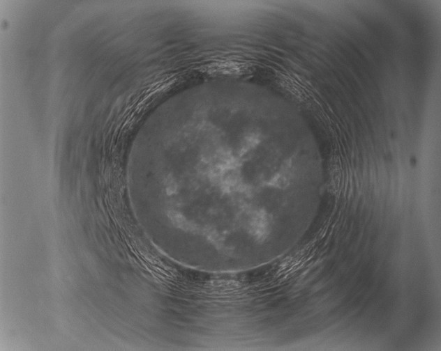 X0000057081297200509161554