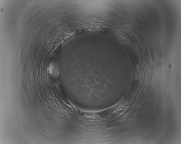 X0000057081298200509161554