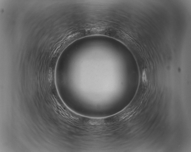 X0000057081299200509161554