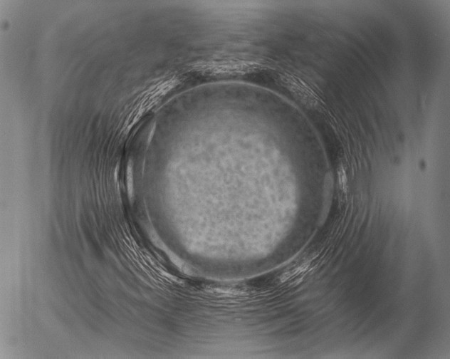 X0000057081300200509161554