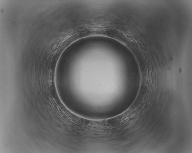 X0000057081301200509161554