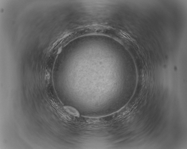 X0000057081302200509161554