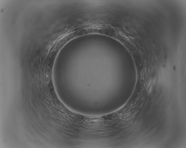 X0000057081303200509161554