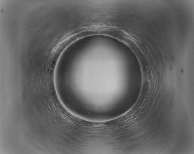 X0000057081304200509161554