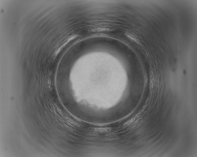 X0000057081305200509161554