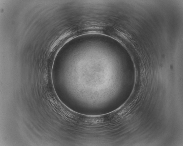 X0000057081307200509161554