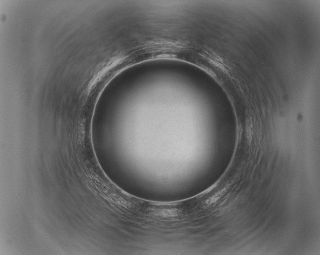 X0000057081309200509161554