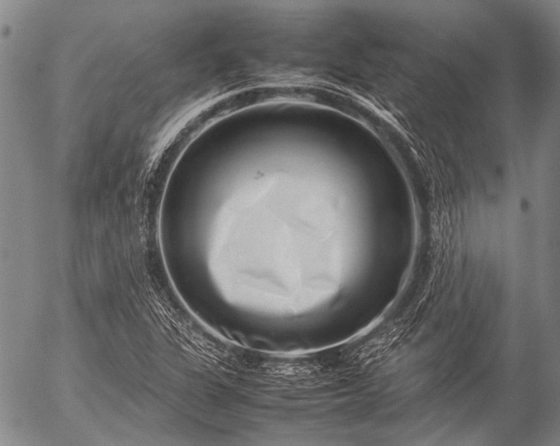 X0000057081311200509161554