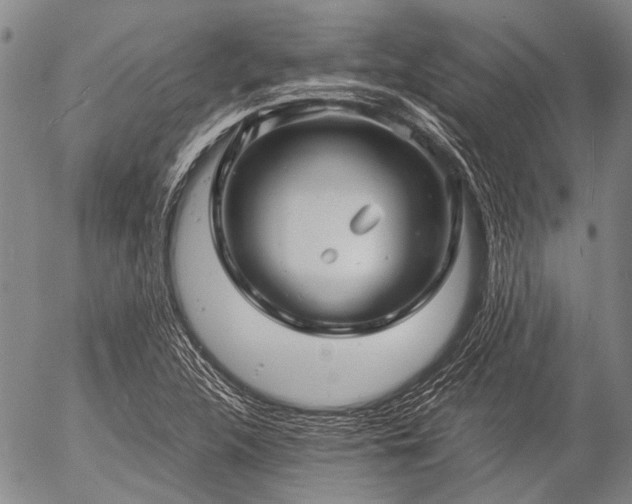 X0000057081312200509161554