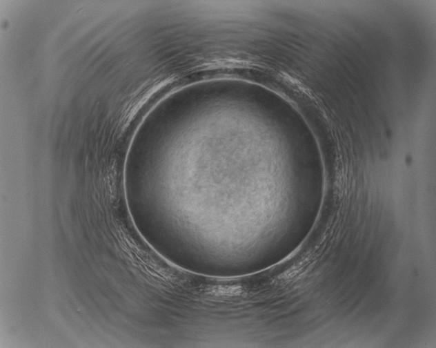 X0000057081313200509161554