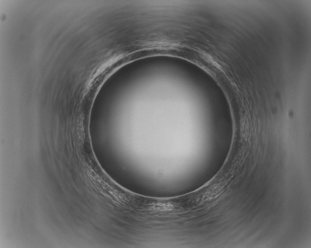 X0000057081315200509161554