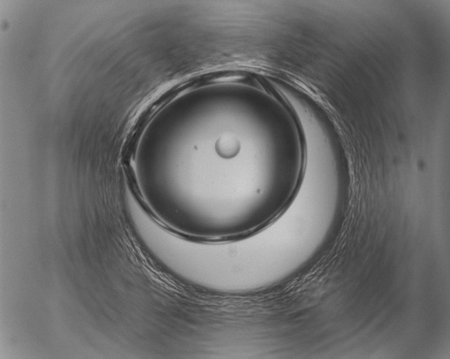 X0000057081316200509161554