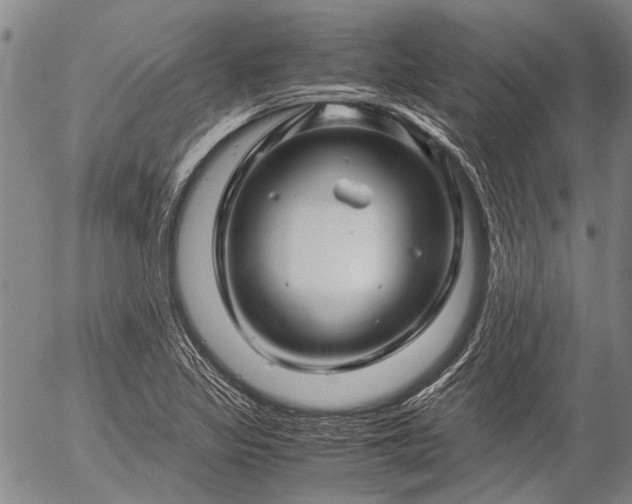 X0000057081317200509161554