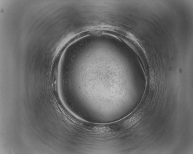 X0000057081320200509161554