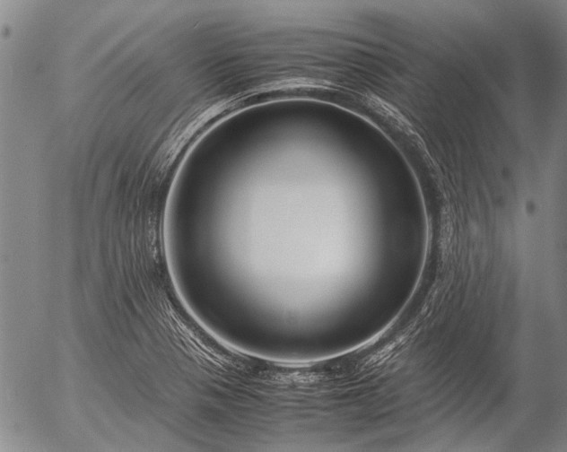 X0000057081321200509161554