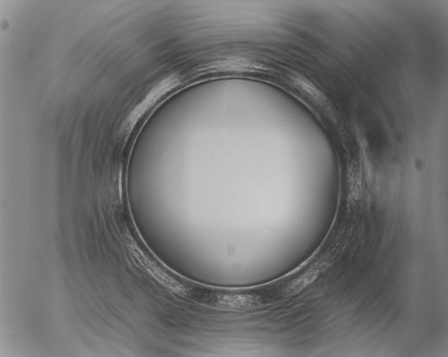 X0000057081322200509161554