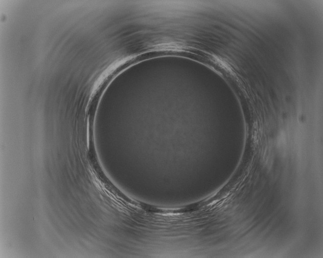 X0000057081323200509161554