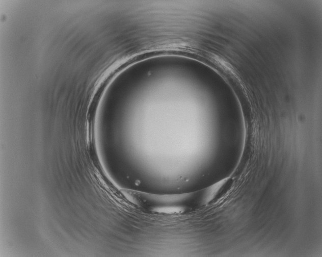 X0000057081324200509161554