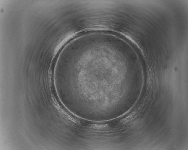 X0000057081325200509161554