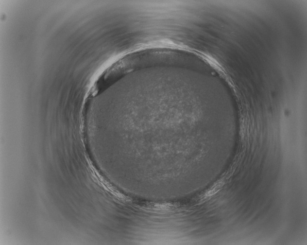 X0000057081326200509161554