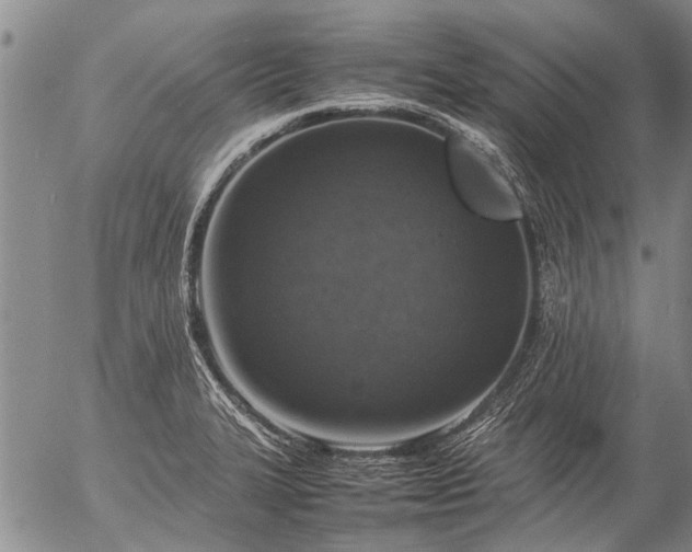 X0000057081327200509161554