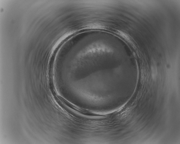 X0000057081331200509161554