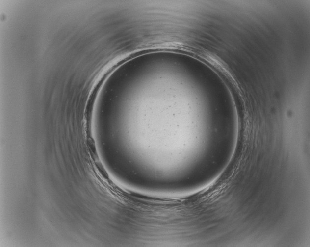 X0000057081332200509161554