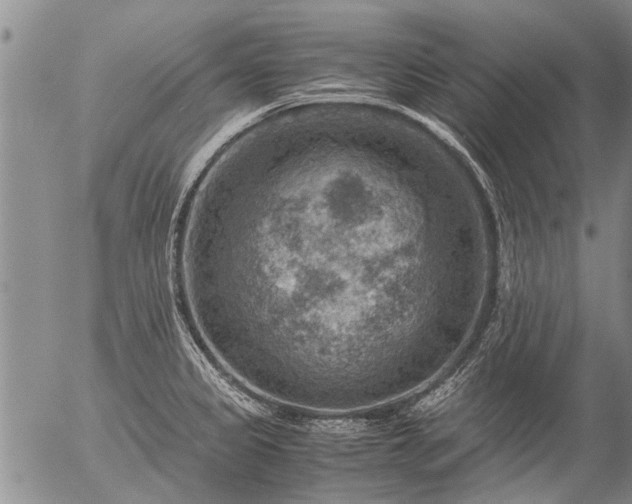 X0000057081333200509161554